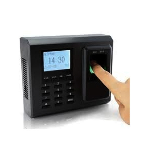 Biometric access system